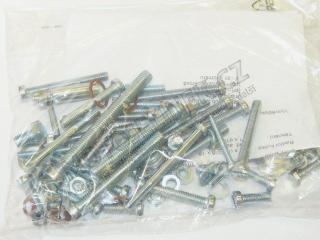 Set of screws for engine-Pionyr