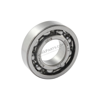 Bearing 6004 C3 (ZVL)